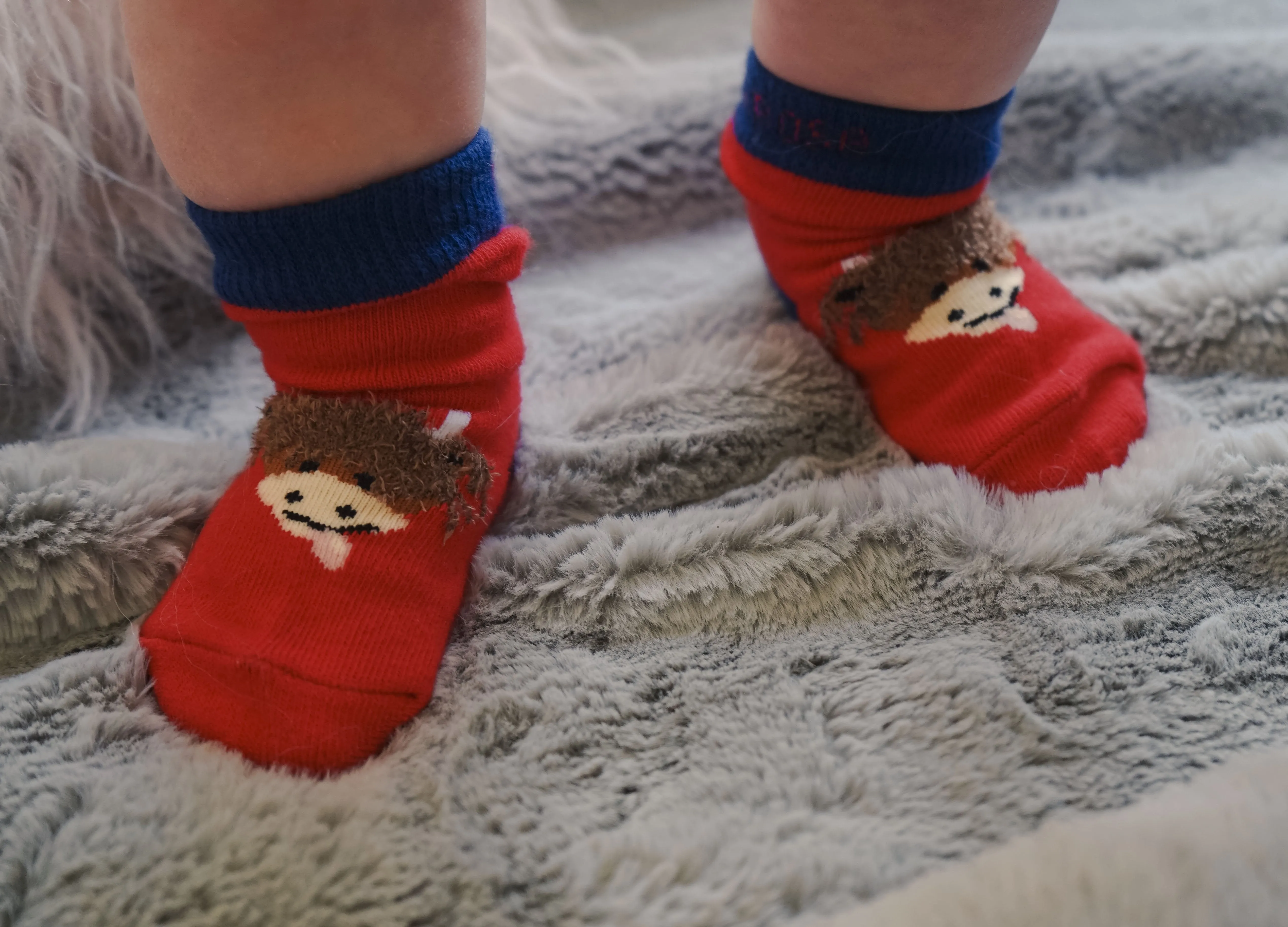 Blade and Rose Highland Cow Cotton Socks 牛牛全棉嬰兒襪