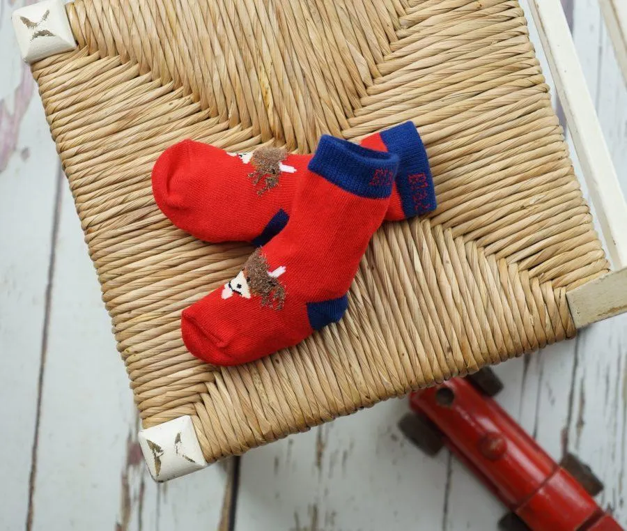 Blade and Rose Highland Cow Cotton Socks 牛牛全棉嬰兒襪