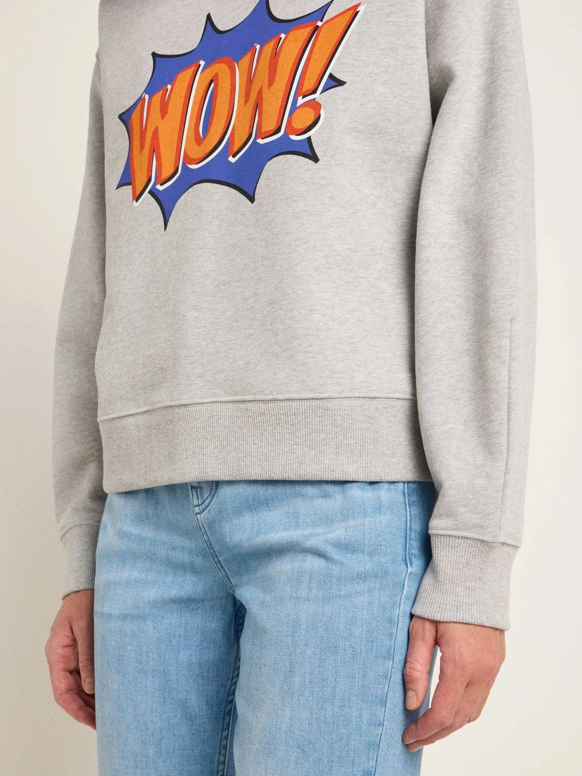 LANIUS Wow sweatshirt 14116 grey melange 822 women