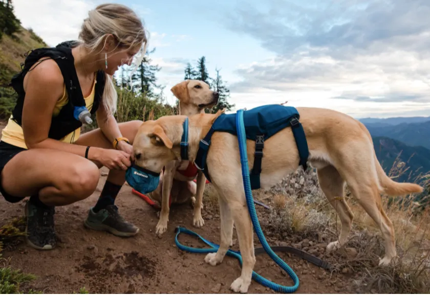 Ruffwear Roamer Leash 7.3'-11'